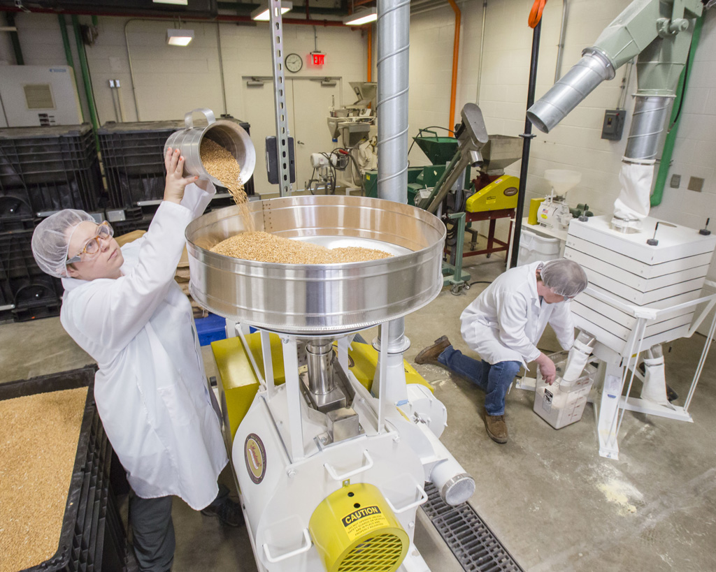 Technicians mill grain at the Integrated Bioprocessing Research Laboratory