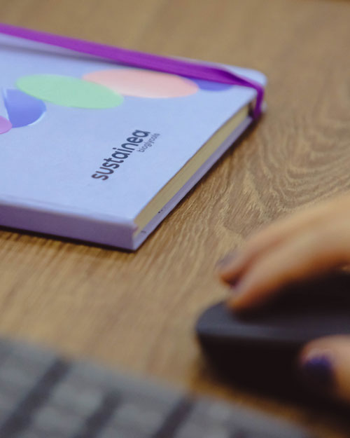 Sustainea workforce development