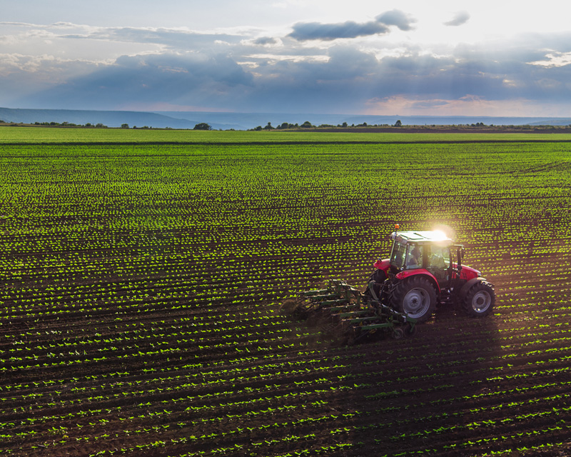 corn being grown as a feedstock for biochemicals