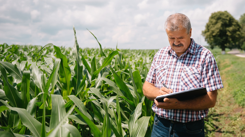 When corn prices fall or ethanol production exceeds demand, technologies like Kemvera's can help use that supply and keep value in the Midwest.